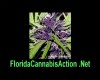 /archive/images/1334shows-stoner.jpg