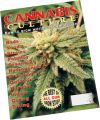 Cannabis Culture Best of Grow Special