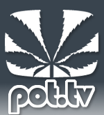 Cannabis Culture