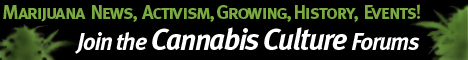 www.cannabisculture.com/forums
