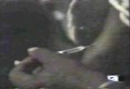 /archive/images/1477shows-iboga2.jpg
