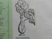 /archive/images/1557shows-hempmason2.jpg