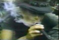 /archive/images/1759shows-hollyweed-nam.jpg
