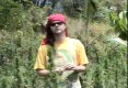 /archive/images/2573shows-jamaica_bubble.jpg