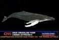 /archive/images/4208shows-LouDobbs.jpg