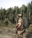 /archive/images/4491shows-AfghaniPotFields.jpg