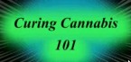 /archive/images/4705shows-curing.jpg