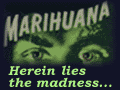 Dopefiends Bookstore