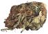 #189 Afghani #1