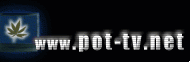 Pot TV logo in 2000