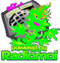 resinous radio