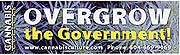 Cannabis Culture Overgrow Sticker
